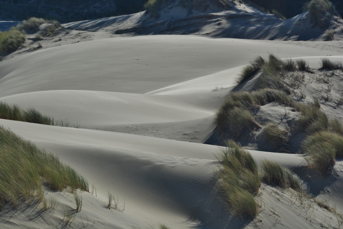 sandy dunes